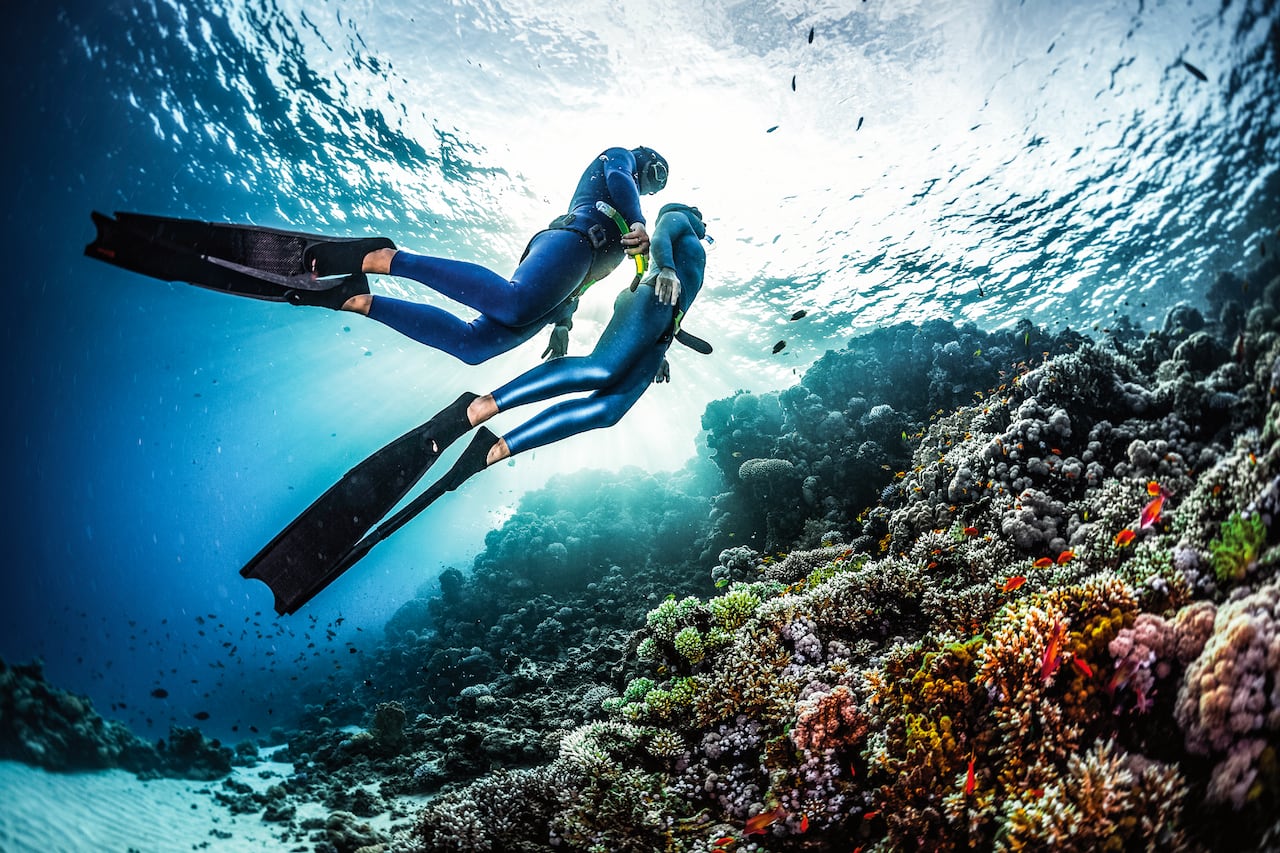 Providencia ha tratado de mantenerse lejos de los paquetes todo
incluido y del turismo masivo.