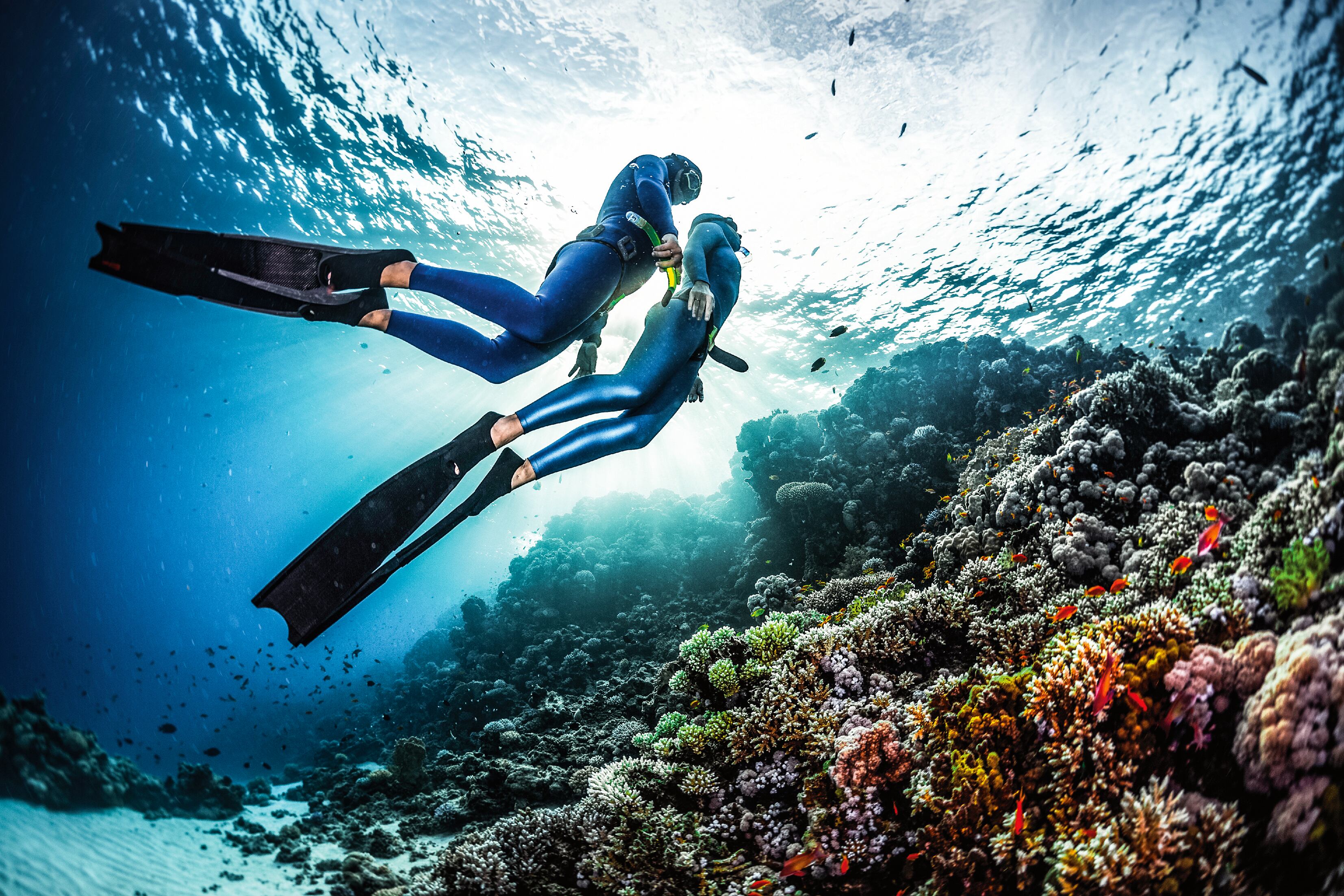 Providencia ha tratado de mantenerse lejos de los paquetes todo
incluido y del turismo masivo.