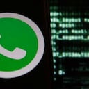 Ninguna compañía ha implementado medidas para mantener privados y seguros los datos de sus usuarios.