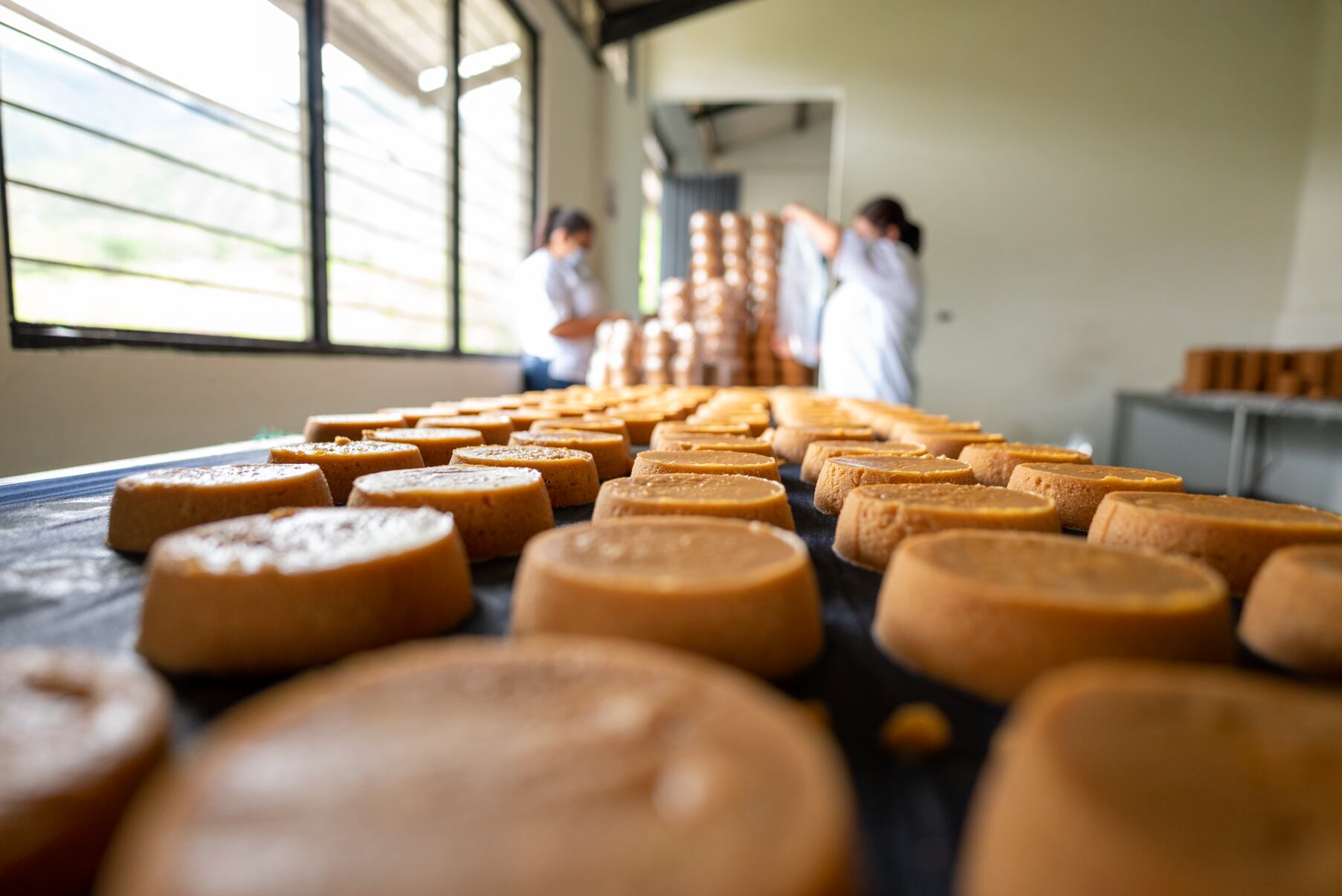 Villeta, un municipio panelero por excelencia.