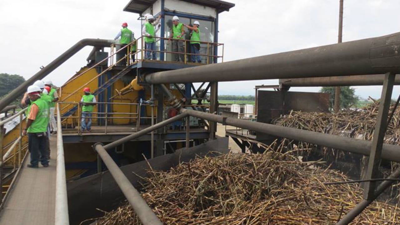 El Ingenio La Cabaña cuenta con más de 3000 trabajadores directos e indirectos. Foto: Web La Cabaña