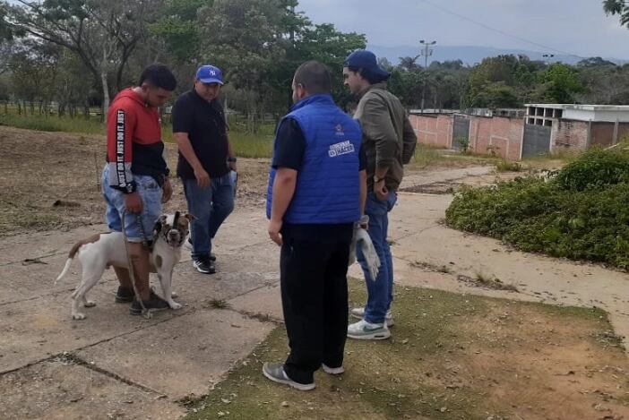 La mascota quedó a disposición de la Unidad de Bienestar Animal.