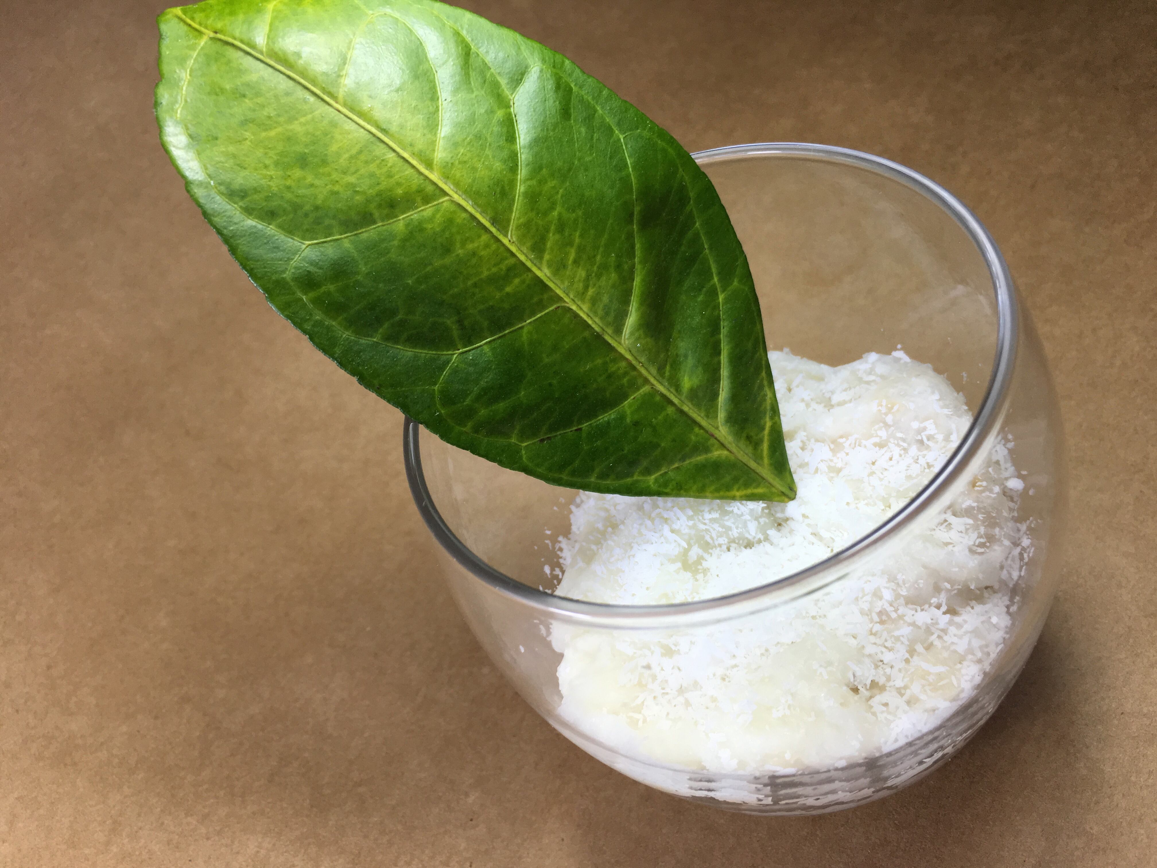 Bicarbonato y plantas