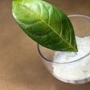 El uso de bicarbonato en las plantas debe ser responsable.