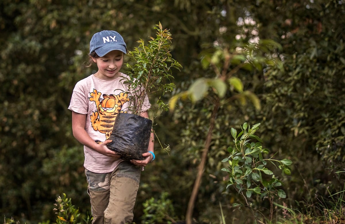 Siembra de árboles de Fundación Coca-Cola por CAEM, en la reserva La Poma, al sur de Bogotá.