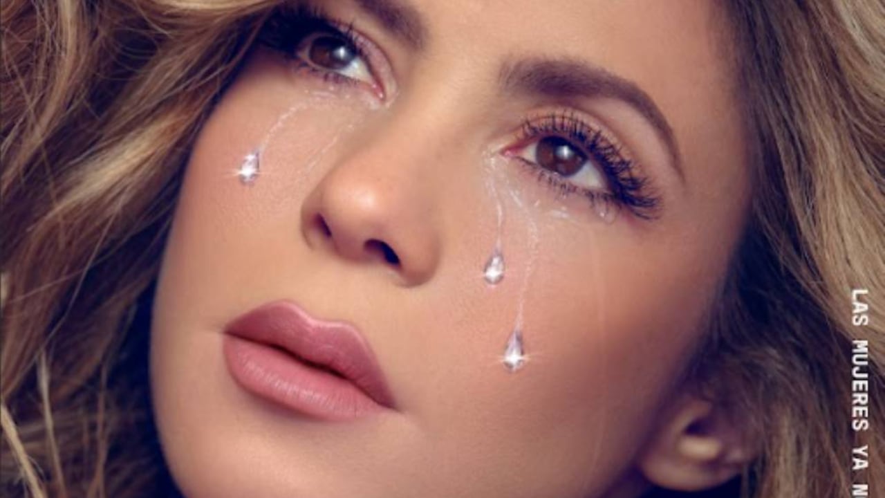 La cantante mostró el proyecto que viene en su carrera musical.