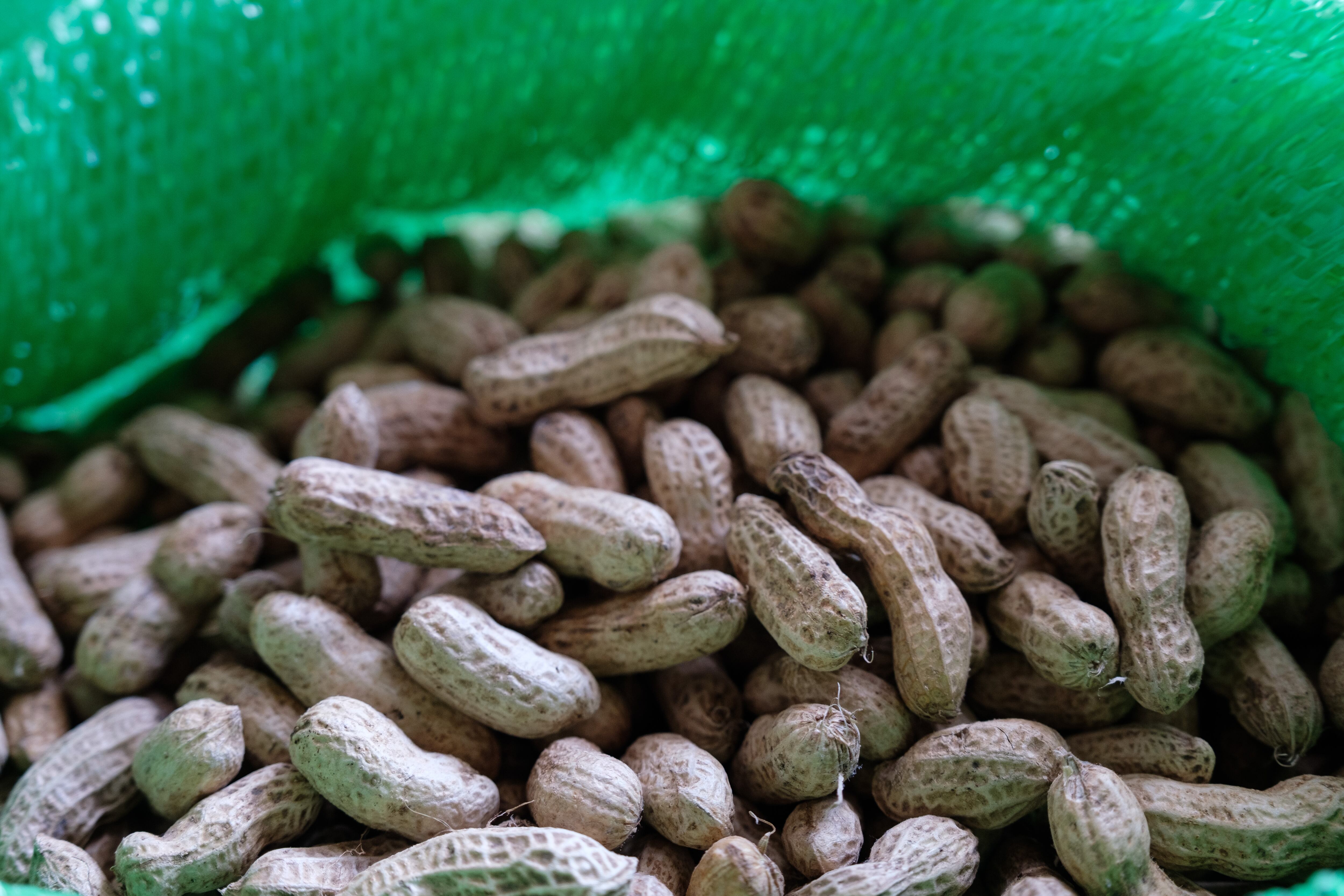 (Photo by Camille Delbos/Art In All of Us/Corbis via Getty Images)