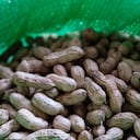 Primer plano de maní fresco en una bolsa. (Photo by Camille Delbos/Art In All of Us/Corbis via Getty Images)
