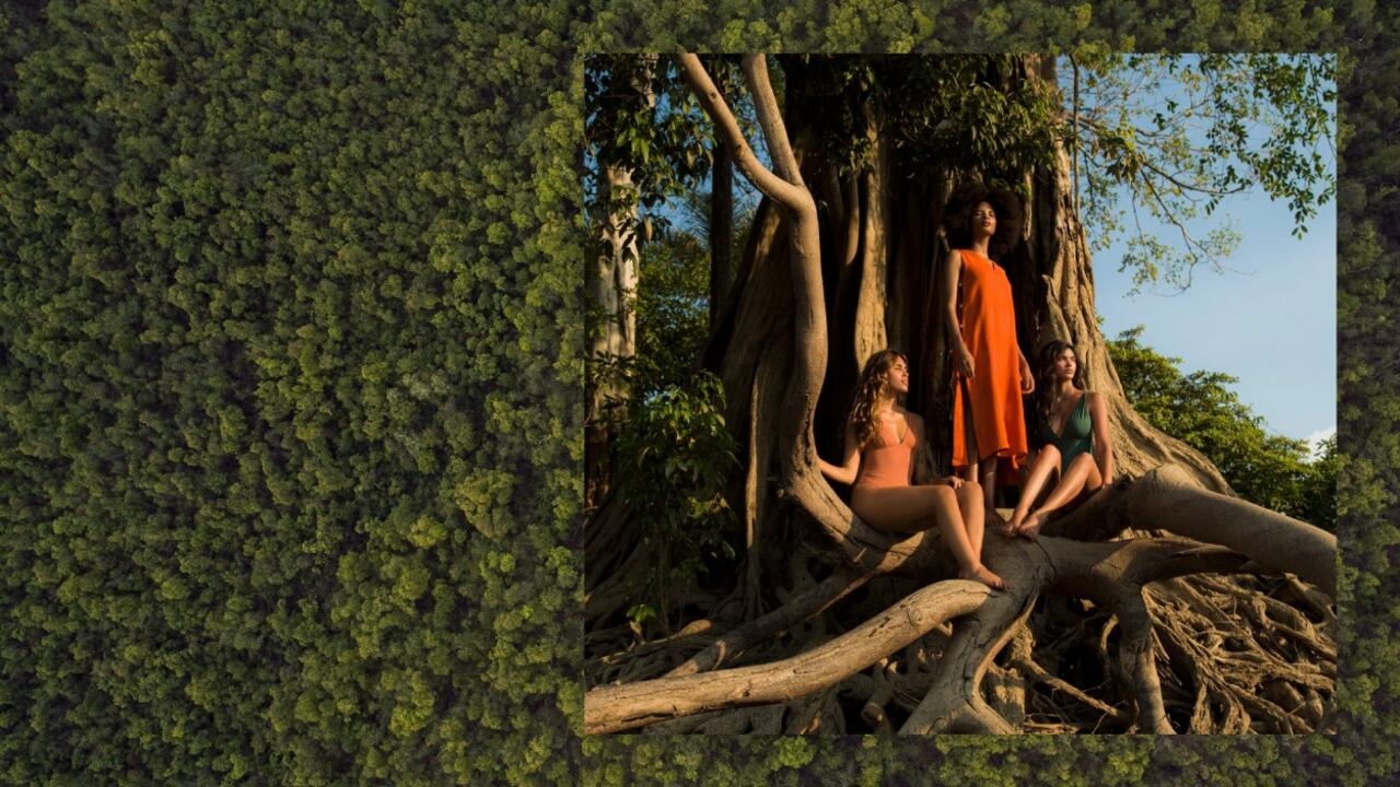 Más de 90 ítems en líneas como Ekos, Tododia, Chronos y Plant, de Natura, cuentan con repuestos, contribuyendo a retirar del medioambiente al año 16.000 toneladas de plástico.