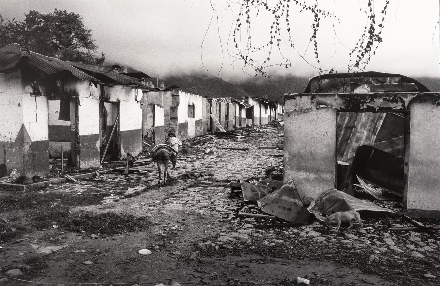 La masacre de El Aro, en Ituango (Antioquia), ocurrió entre el 22 y 25 de octubre de 1997. Murieron 15 personas y generó desplazamiento.