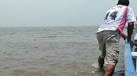 En algunas partes de la ciénaga, incluso en la desembocadura de los ríos como el Aracataca, los bogas tienen que bajarse y caminar para desencallar las canoas.