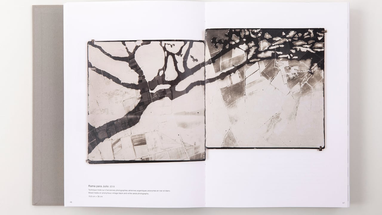 Johanna Calle Photo Graphias