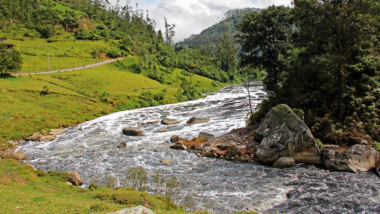 El río Bogotá es rico en especies y ecosistemas, provee recurso hídrico a más de 10 millones de personas