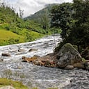 El río Bogotá es rico en especies y ecosistemas, provee recurso hídrico a más de 10 millones de personas