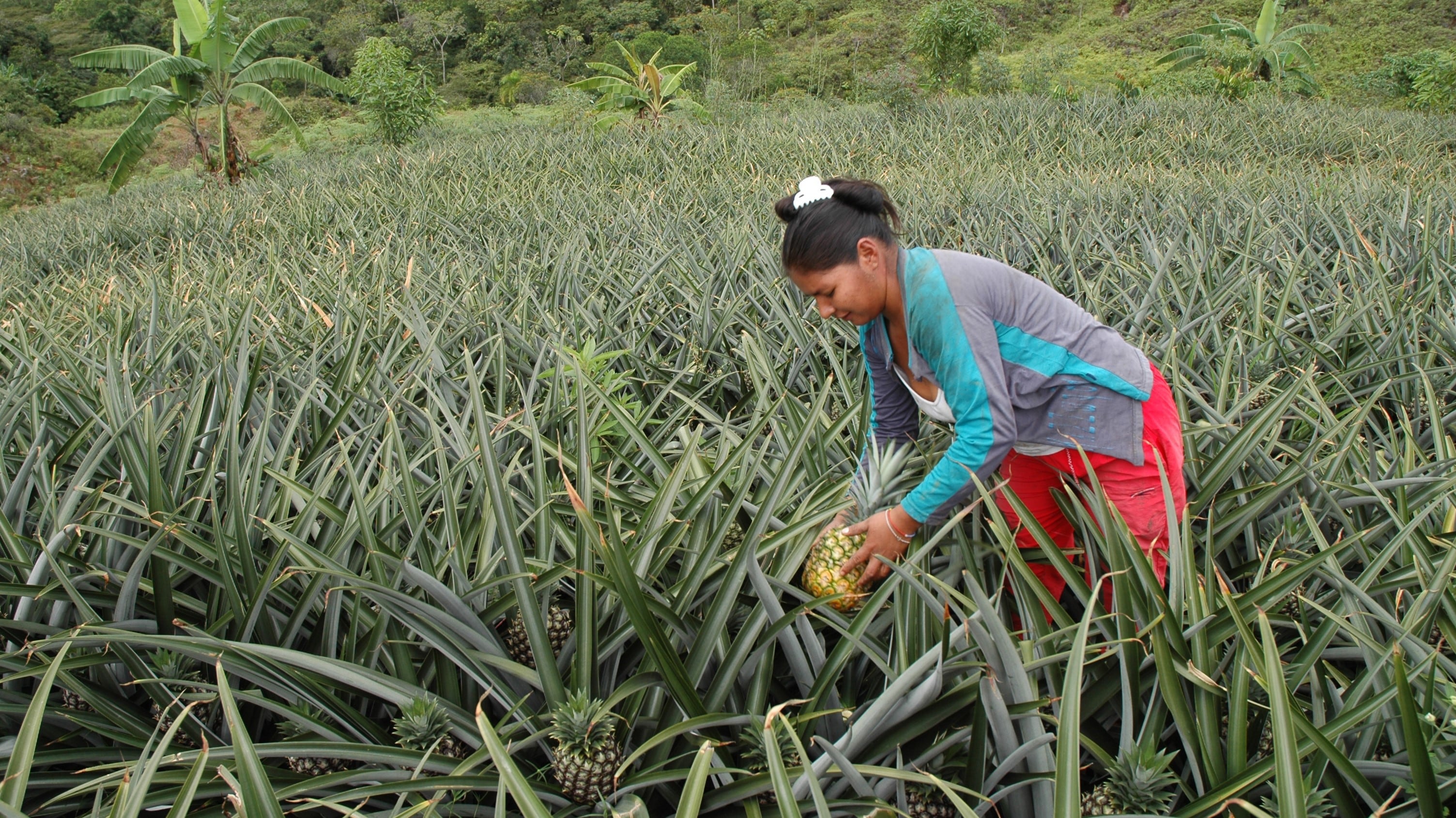 El 44 por ciento del Comité Directivo de Bavaria está conformado por mujeres, 13 puntos por encima de la media nacional, según una reciente medición de Aequales.