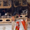 Los hechos se presentaron en el Aeropuerto Internacional de Ciudad de México