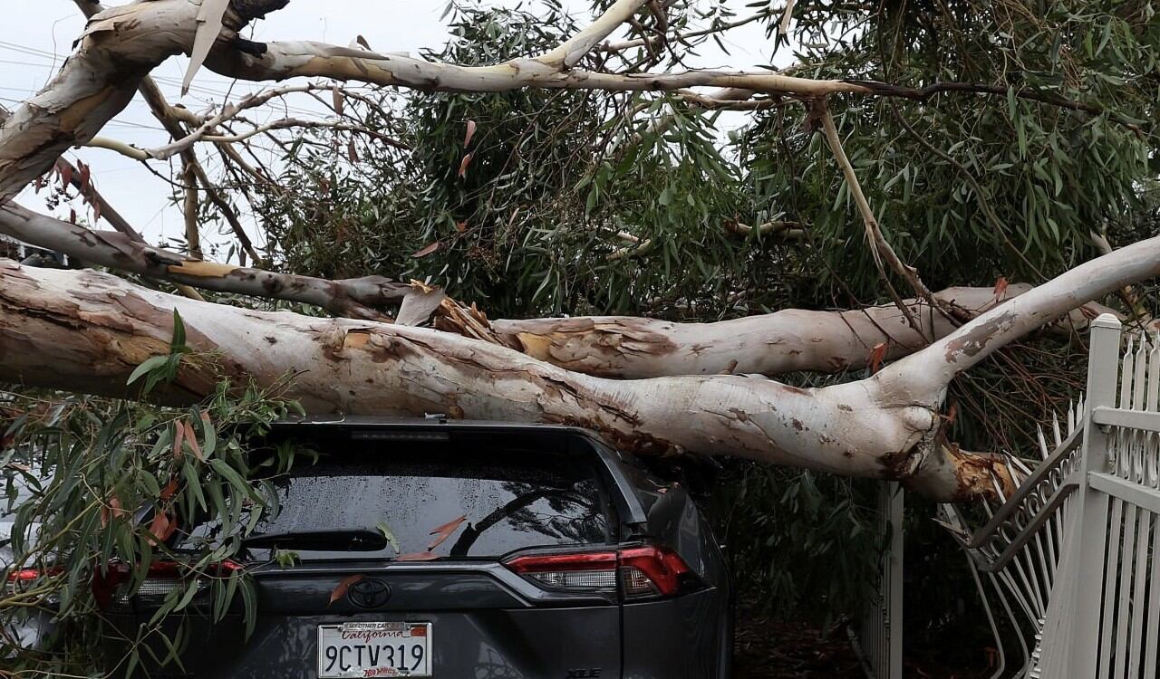 Un árbol cayó sobre un carro en California, tras el paso de la tormenta Hilary