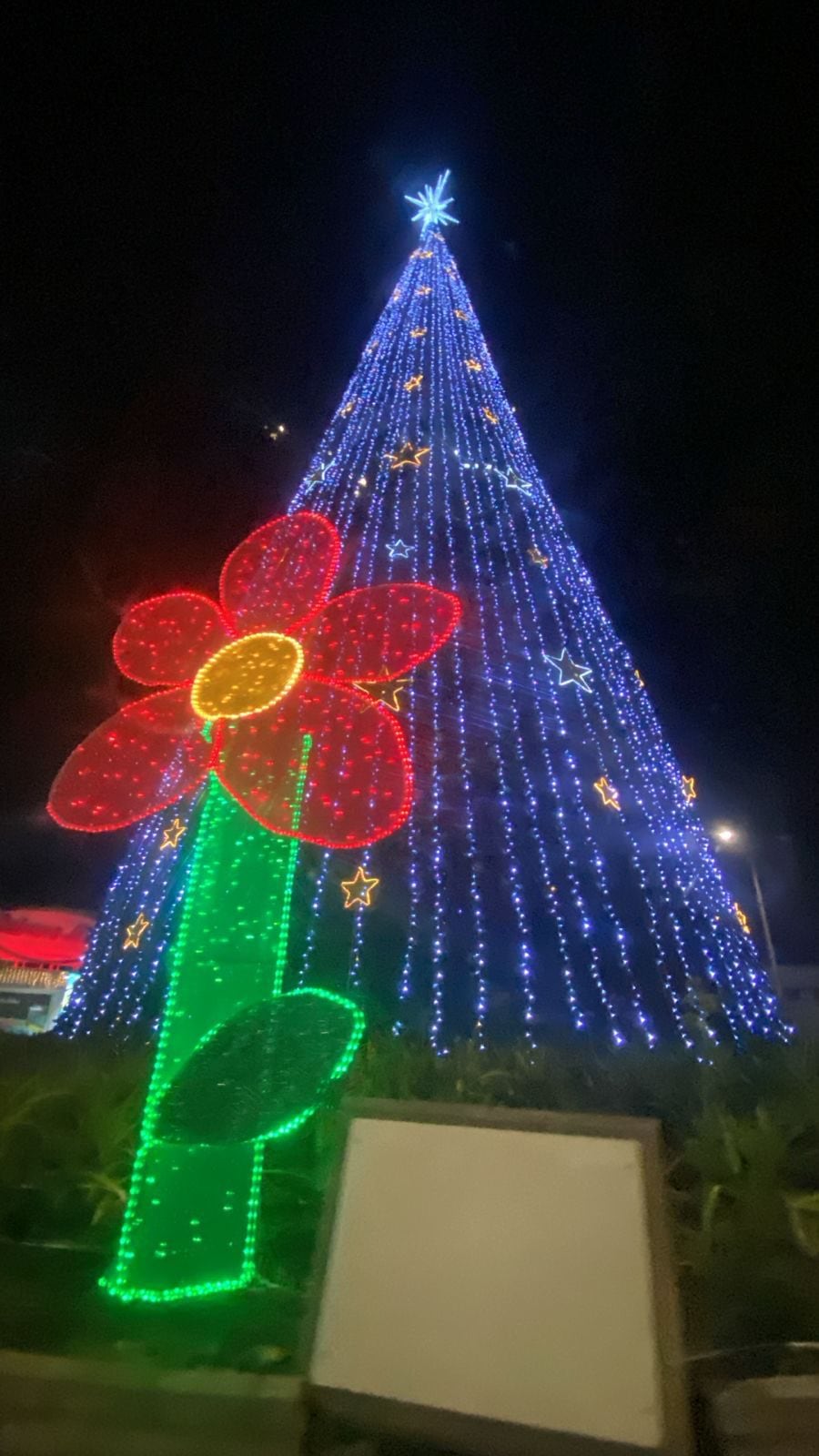 Alumbrado navideño en Chía