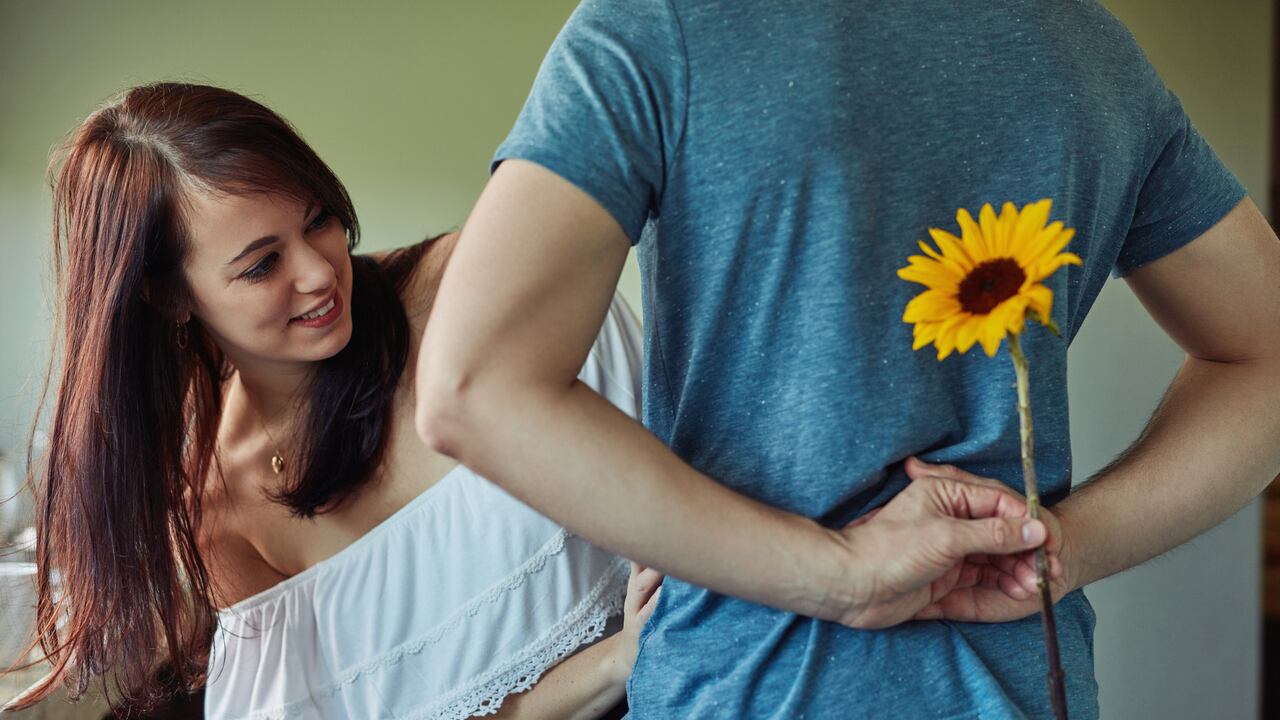 En una fecha tan especial como el Día del Amor y la Amistad de 2023, los girasoles se convirtieron en el regalo elegido por muchas parejas, generando una creciente curiosidad sobre la razón detrás de su elección.