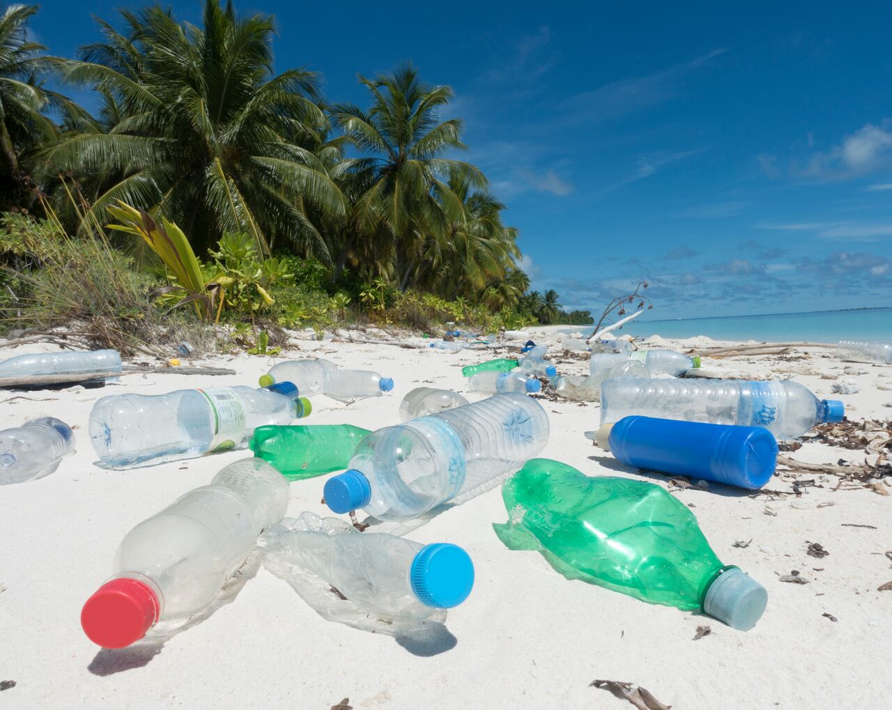 Es importante recoger la basura y los residuos de los lugares que visita.