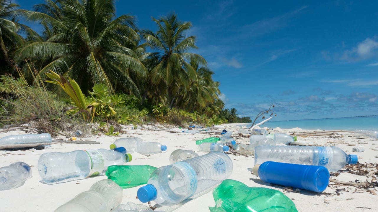 Es importante recoger la basura y los residuos de los lugares que visita.