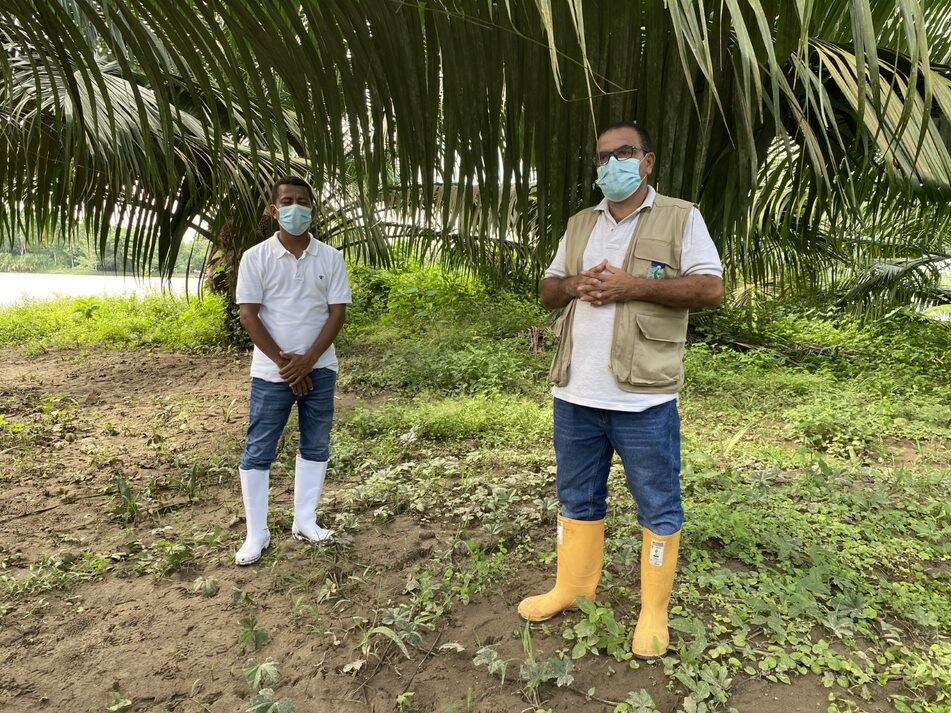 Palma de aceite en Tumaco