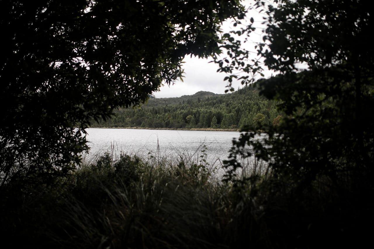 Todos somos Páramo - Páramo de Guerrero evento de la Alcaldía de Zipaquirá, cooperación internacional, la Alianza Biocuenca o fondo de agua de Norte de Santander