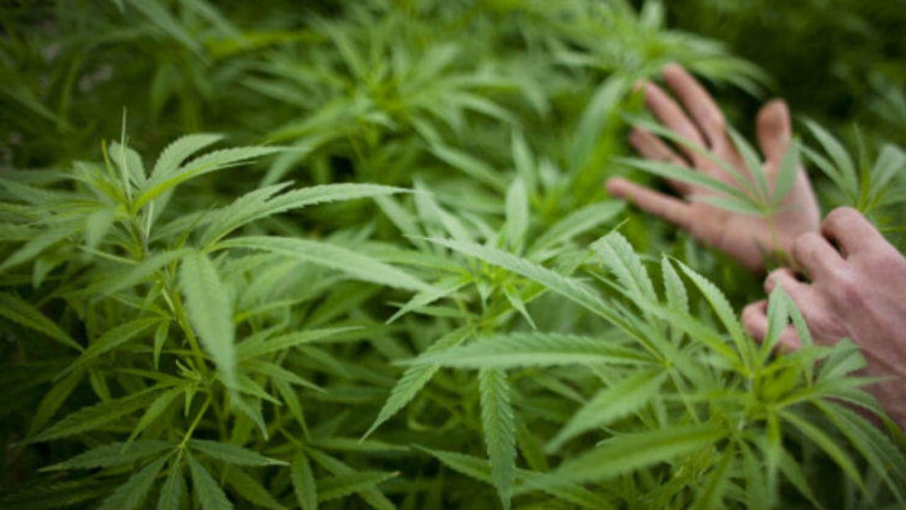 Imagen de referencia/Getty Images