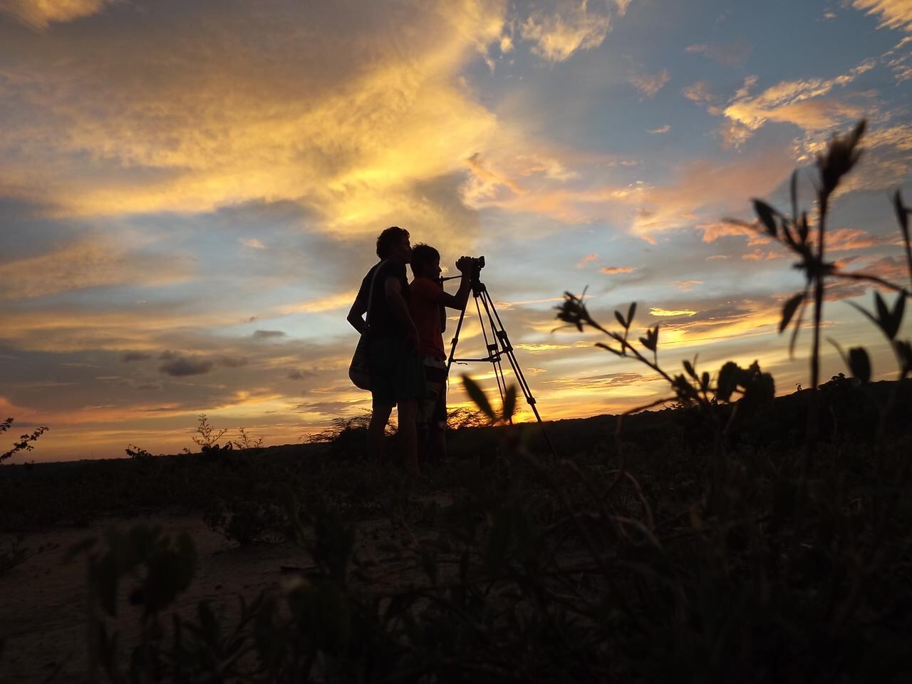 La entidad señaló que se busca contribuir a la población trabajadora del país, facilitar su acceso al mercado laboral y mejorar su perfil ocupacional.