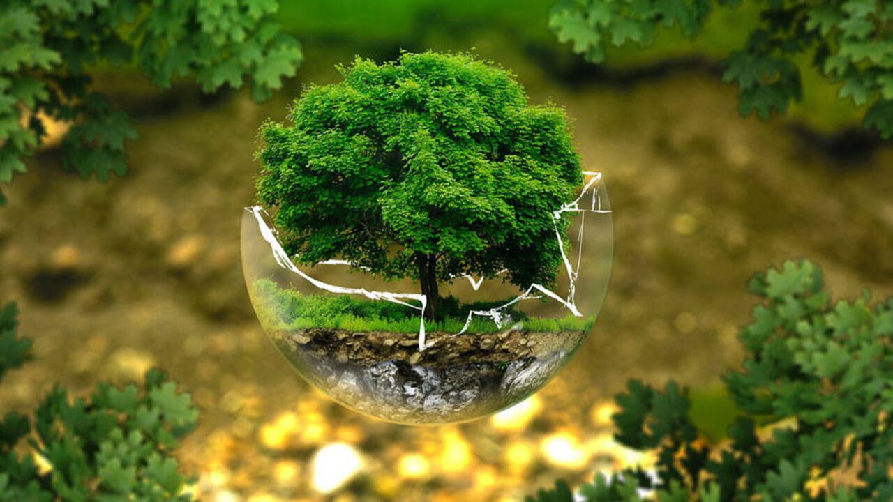 '#MiPromesaClimáticaEs' reúnirá a diferentes voces importantes en este tema a nivel nacional.