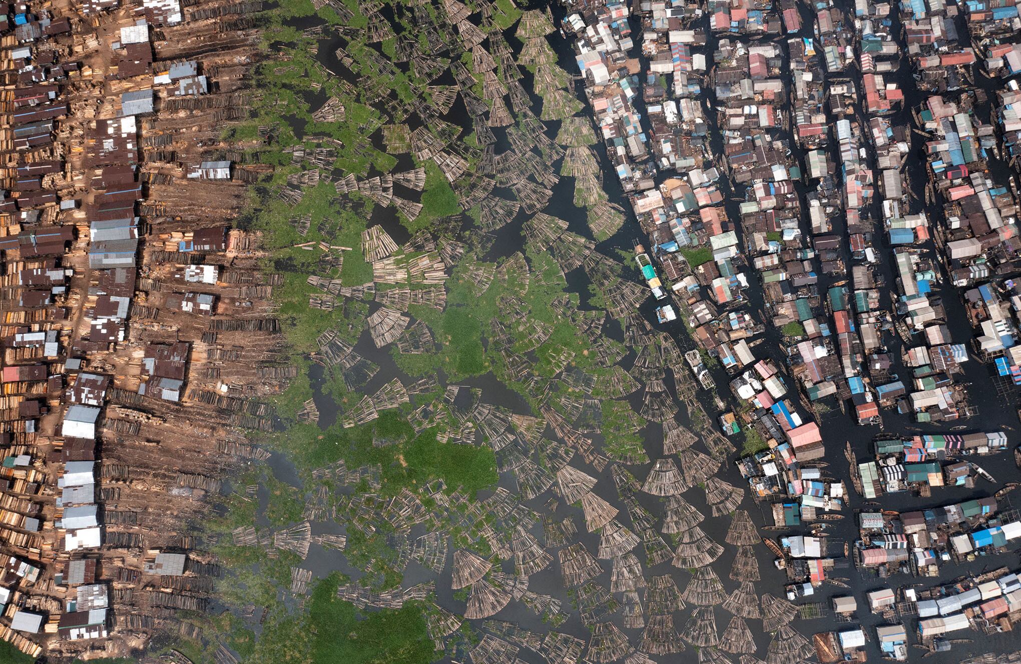 En imágenes : los bosques en extinción de Nigeria