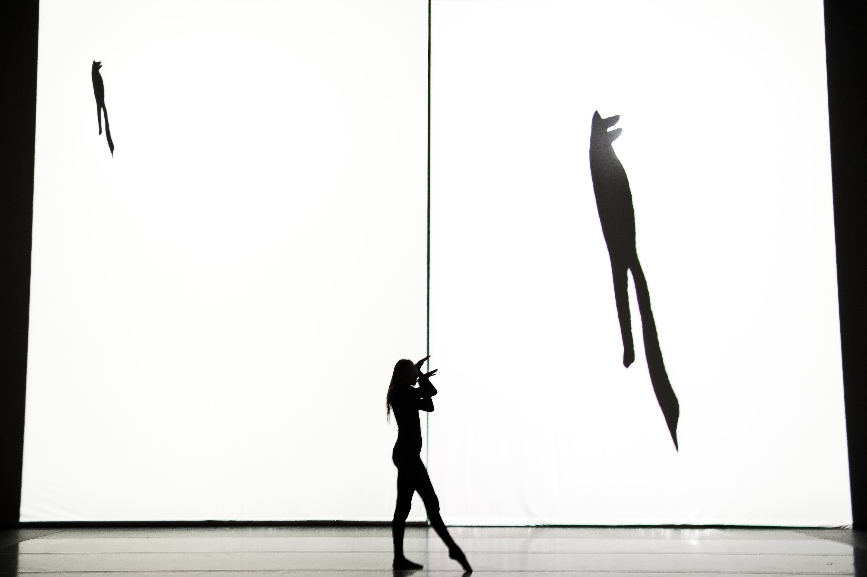 'HENRI MICHAUX : MOUVEMENTS'