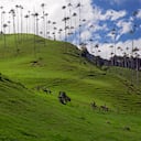 El Valle del Cocora (Salento, Quindo), Colombia. (Foto de: Fetze Weestra/VW PICS/Universal Images Group vía Getty Images)