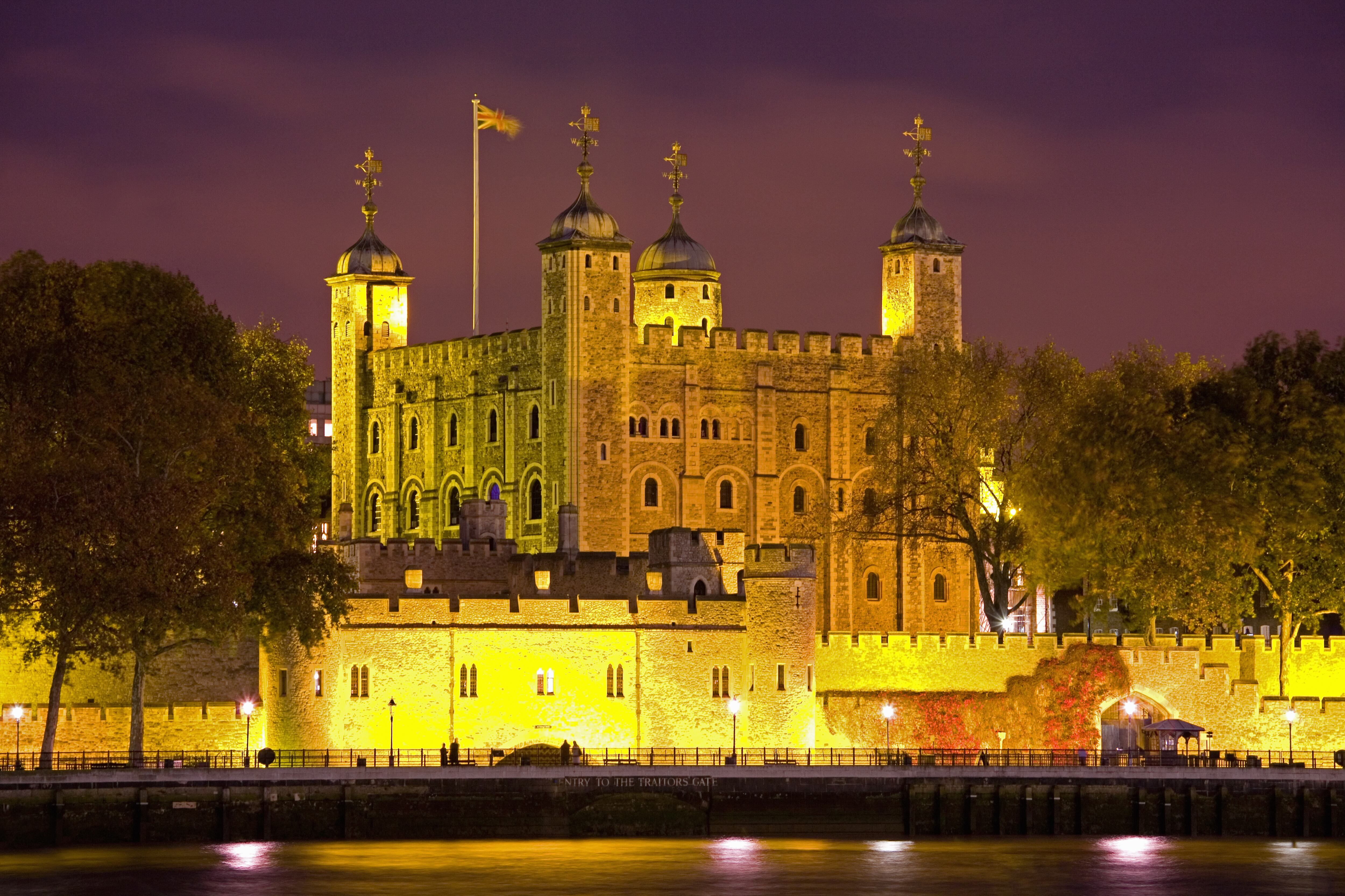 Estos cuervos son vigilados por un equipo especial que se encarga de cuidarlos.