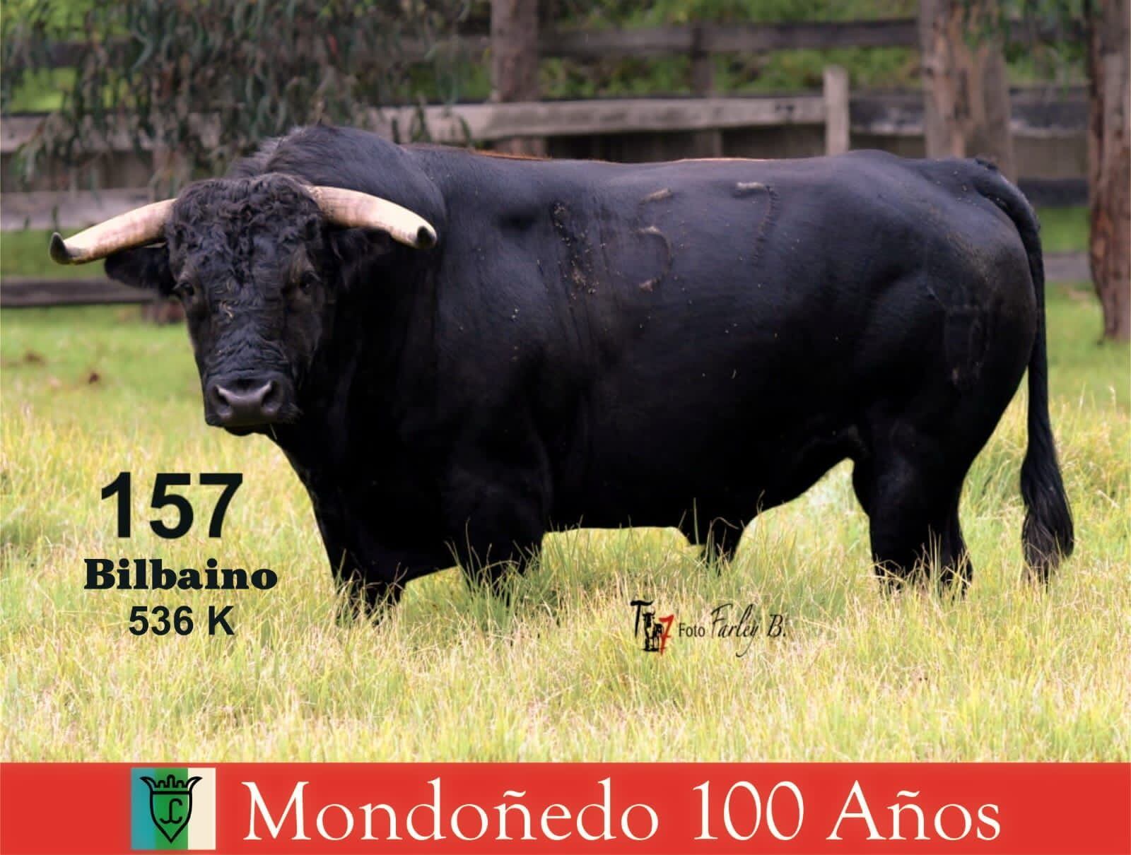 Este es uno de los ejemplares que saldrá al redondel de Puente Piedra.