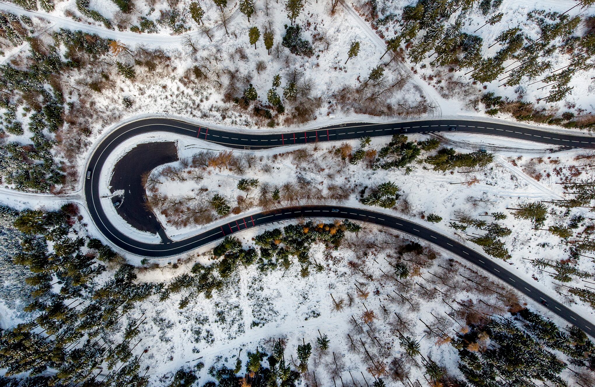 Fotos de la semana 10 dic