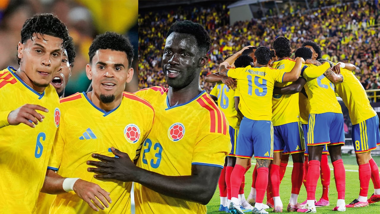 Selección Colombia: tras ocho años, el equipo nacional volverá a jugar en el al máximo escenario del balompié mundial, la Copa del Mundo.