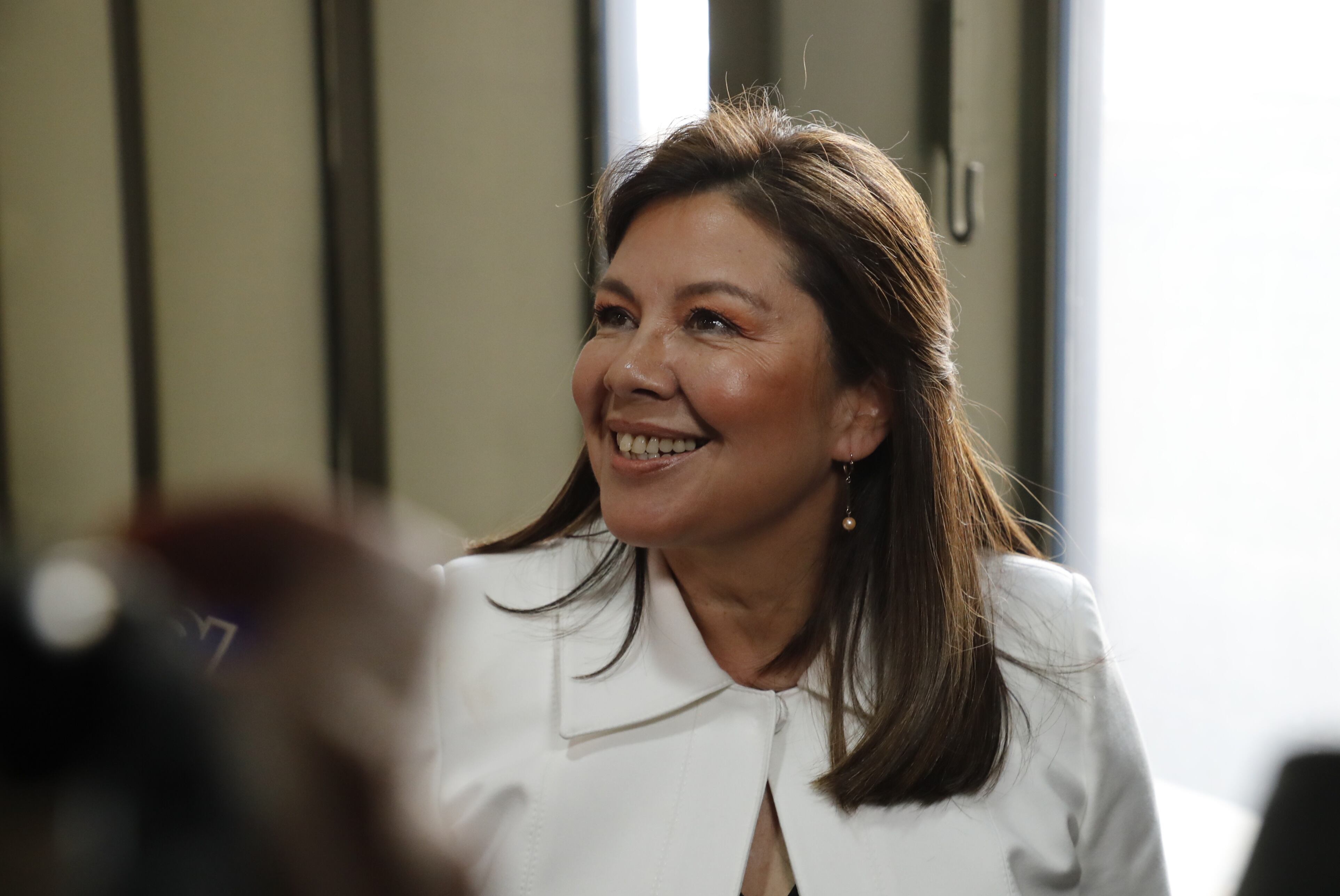 Luz Adriana Camargo
Terna para Fiscal en la Corte