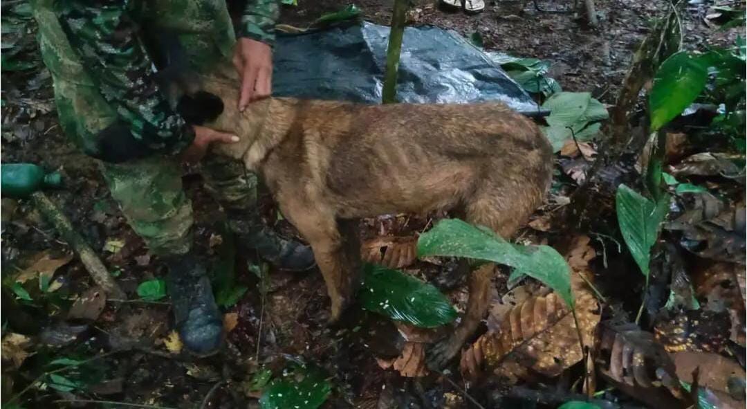 Wilson hizo parte de la Operación Esperanza