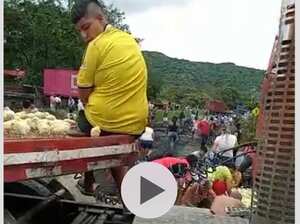 La gente en Cali llevó pollitos vivos que regaló un productor, quien dice que no tienen abastecimiento de alimentos para mantenerlos con vida