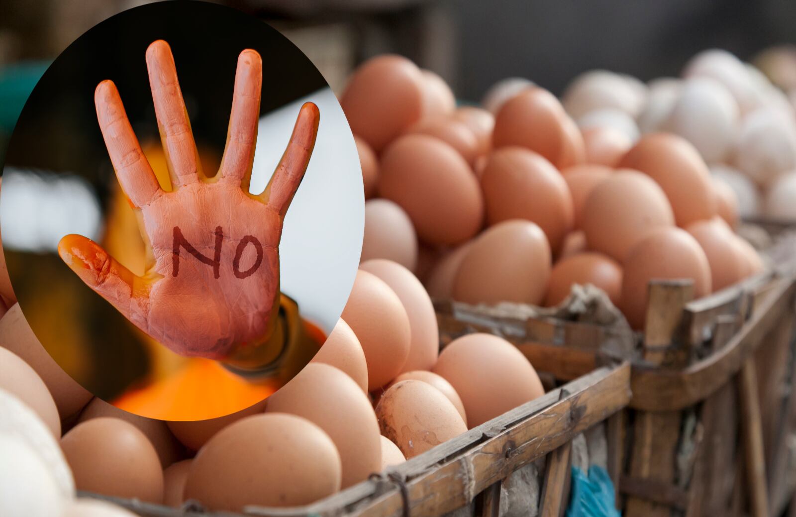 Autoridades abren investigación sobre brote relacionado con posibles huevos contaminados