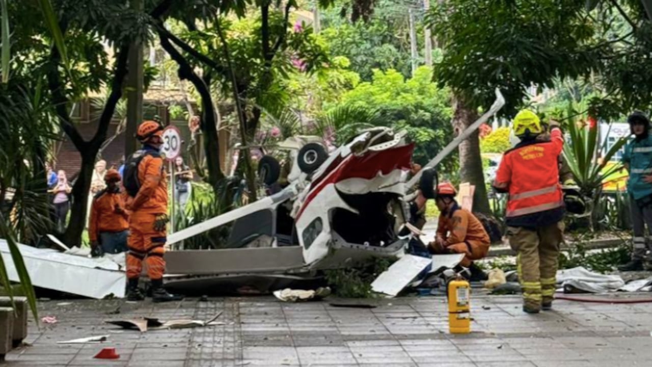 Por fortuna, la avioneta no se incendió tras caer accidentalmente.