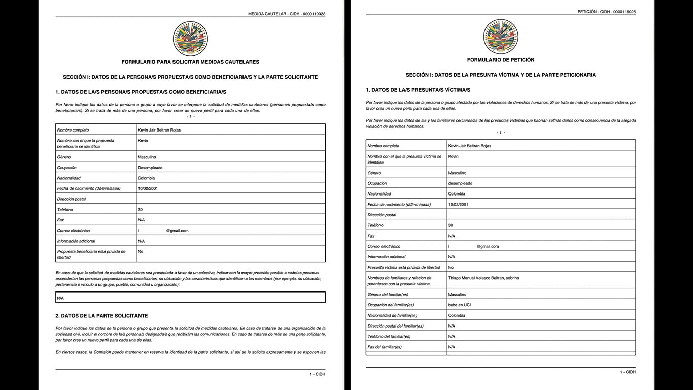 Documentos presentados ante la CIDH contienen una solicitud de medidas cautelares y una petición relacionada con presuntas vulneraciones de derechos humanos.