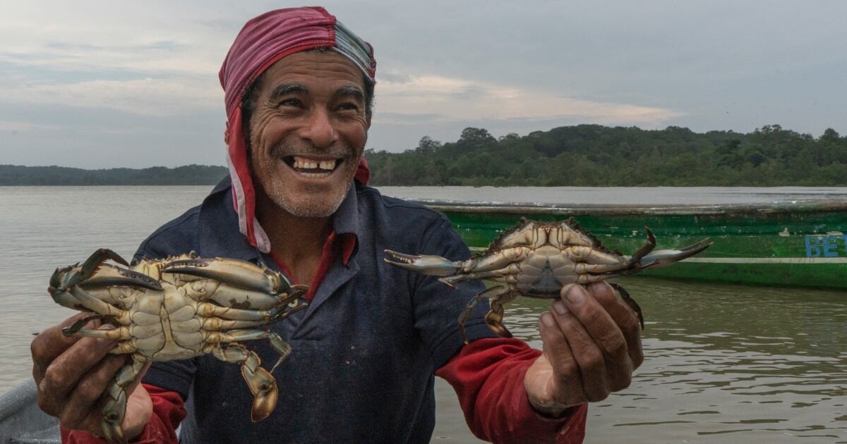 Expedición científica en Cabo Manglares (Nariño).