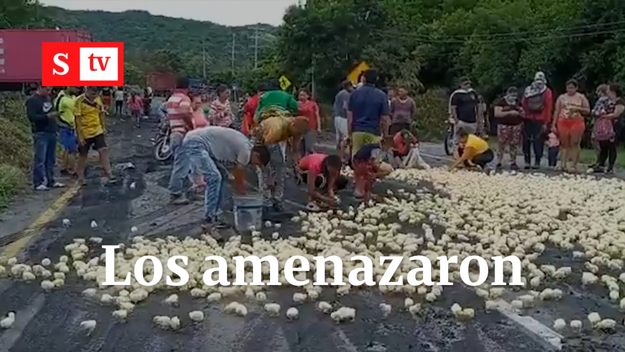 “Nos dijeron que si regalamos los pollitos nos vuelven $&@@5 la planta”: empresario