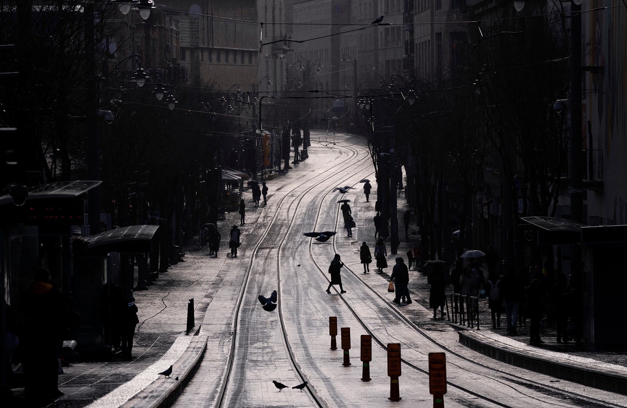 Fotos de la semana 3 febrero 2023