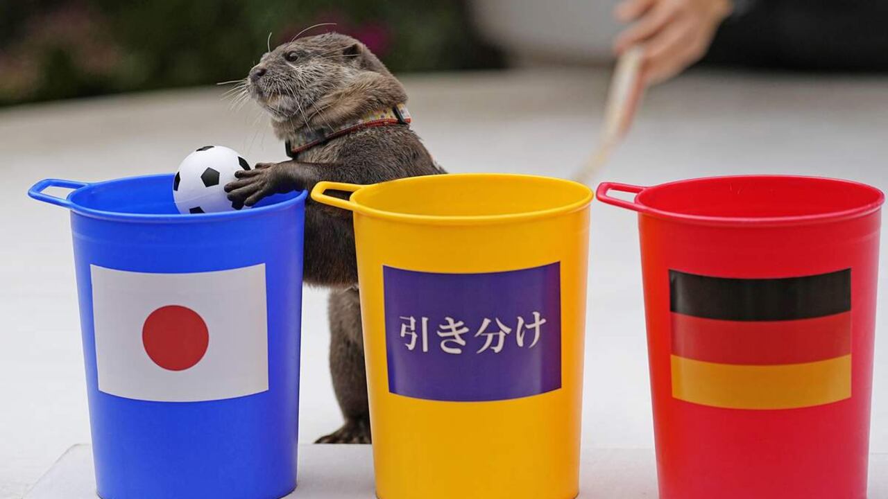 Los japoneses le dieron vuelta al marcador en el segundo tiempo.