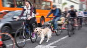 Carrera 7. FOTO: Diana Rey. SEMANA