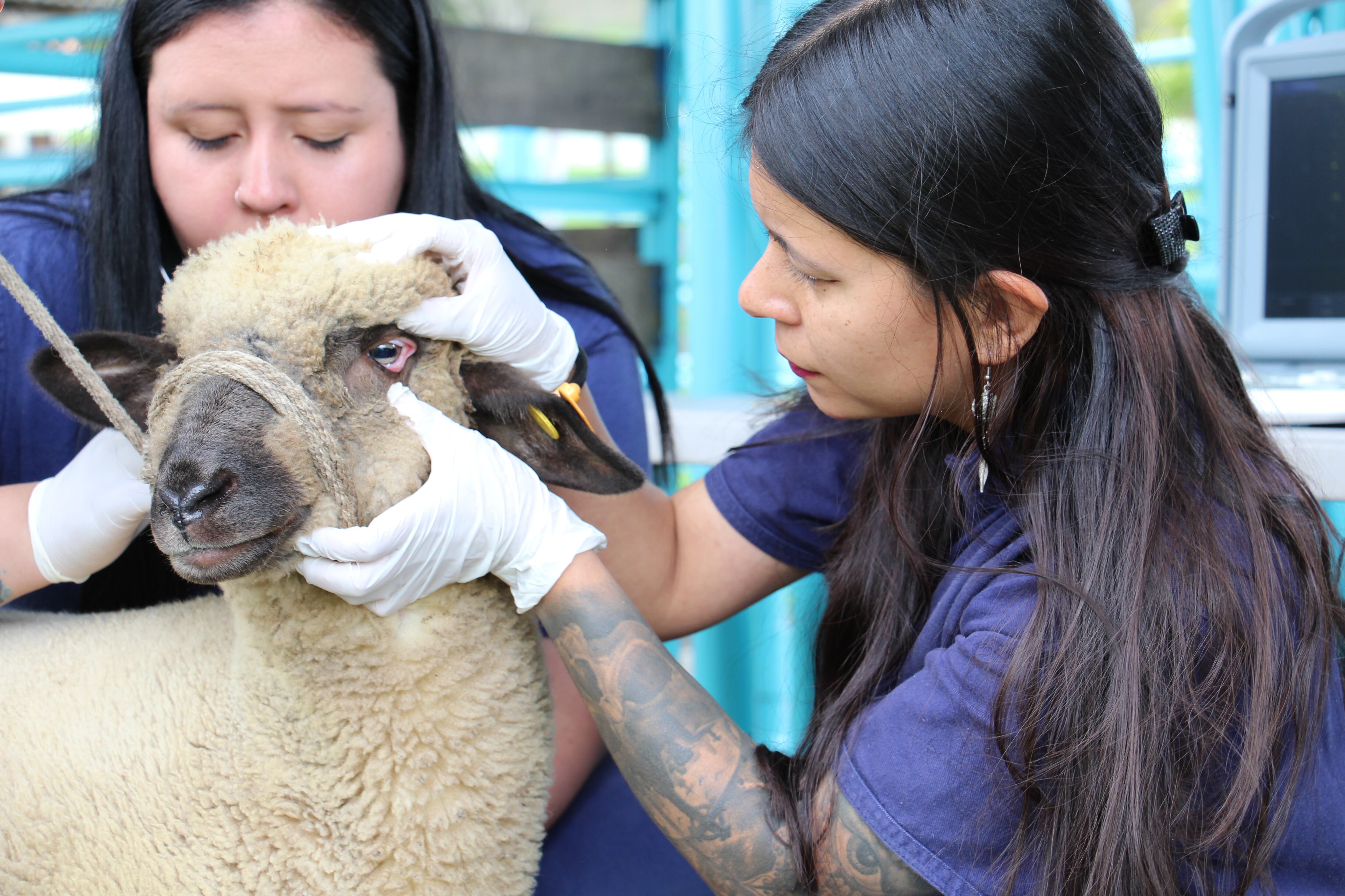 undación Universitaria San Martín- Especial Co 16 Mejor Colombia