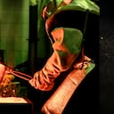 Colombian Mint se especializa en la fundición, análisis, refinación y comercialización de metales preciosos.